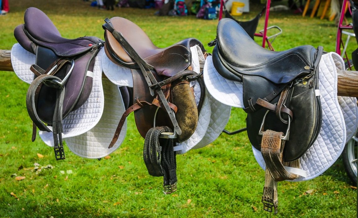 Les composantes de la selle de cheval