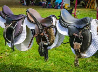 Les composantes de la selle de cheval