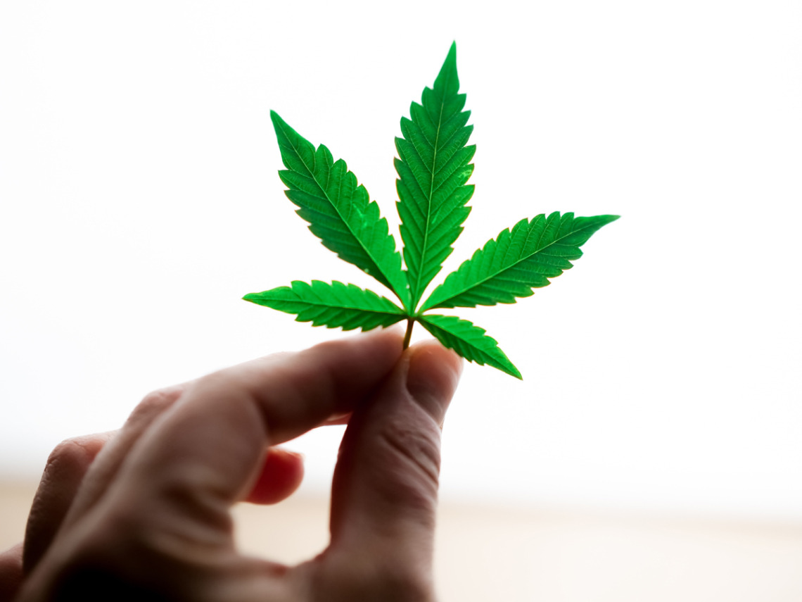 Résine de CBD