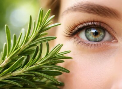 découvrez comment le romarin peut améliorer la santé de vos yeux et favoriser une meilleure clarté visuelle grâce à ses propriétés naturelles bénéfiques.