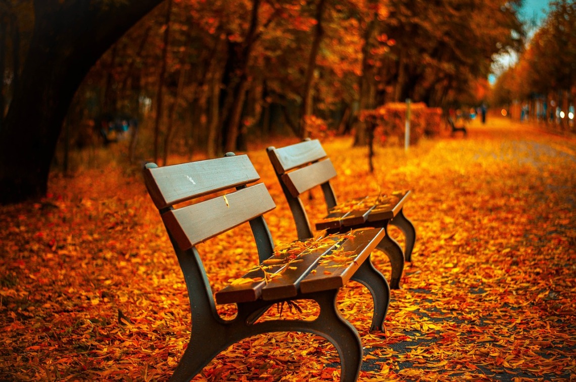Se débarrasser des feuilles