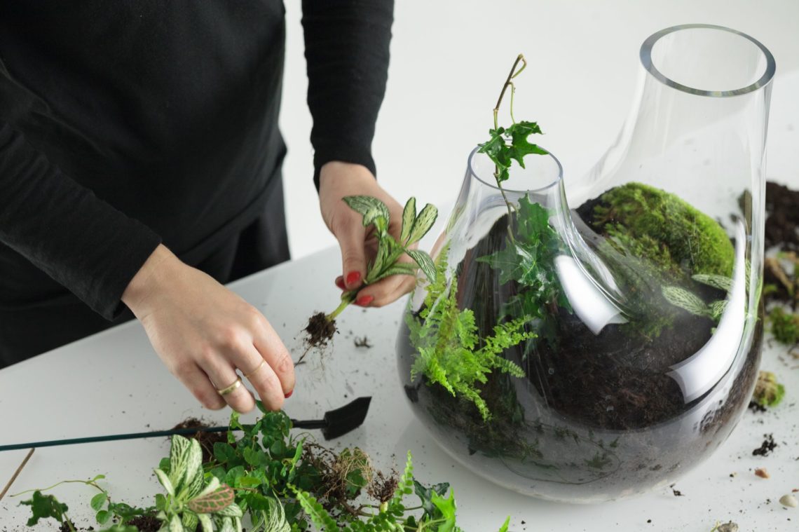 12 conseils pour faire un terrarium le tuto DIY pas à pas