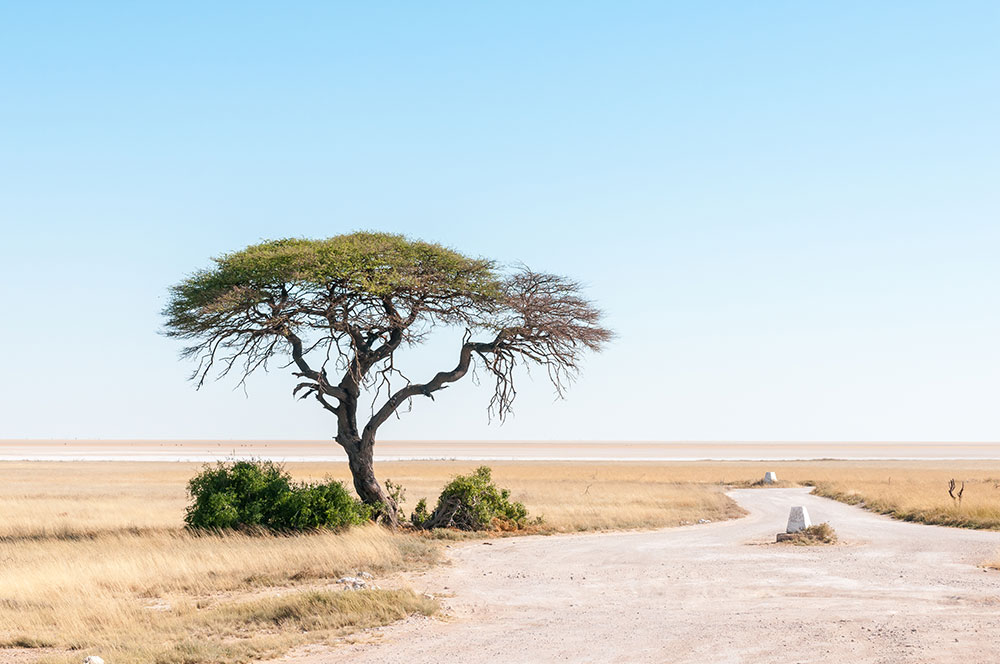 activités en Namibie