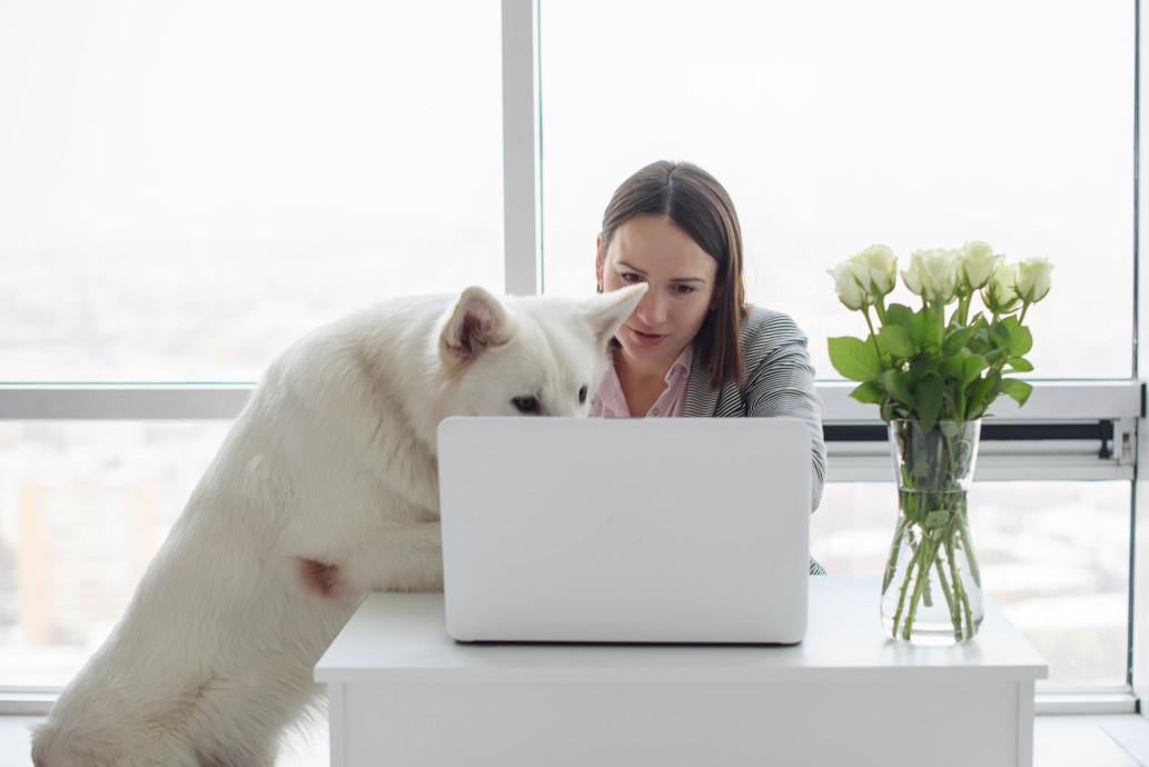 animal de compagnie pour santé féminine