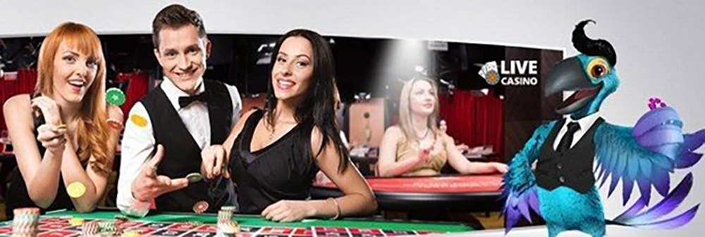 avis Dublinbet Casino