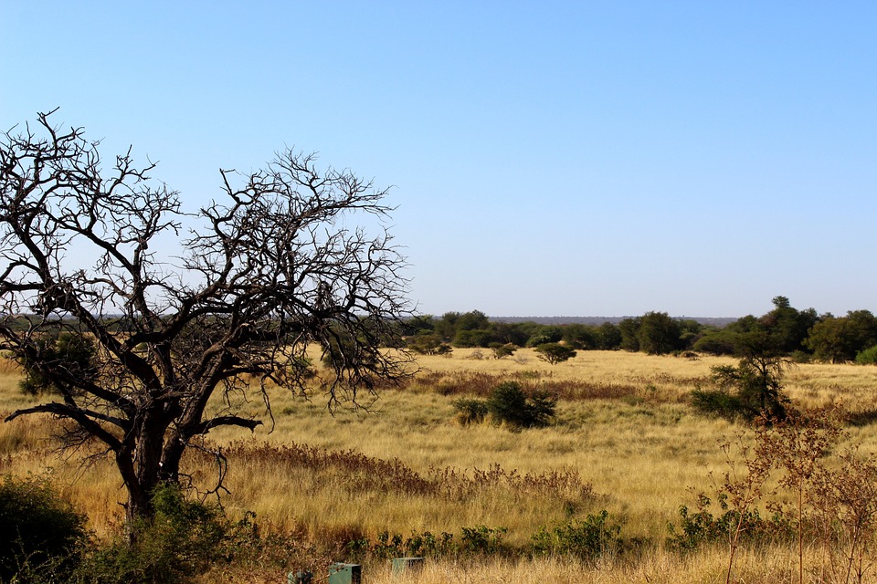 Préparer un voyage en Afrique