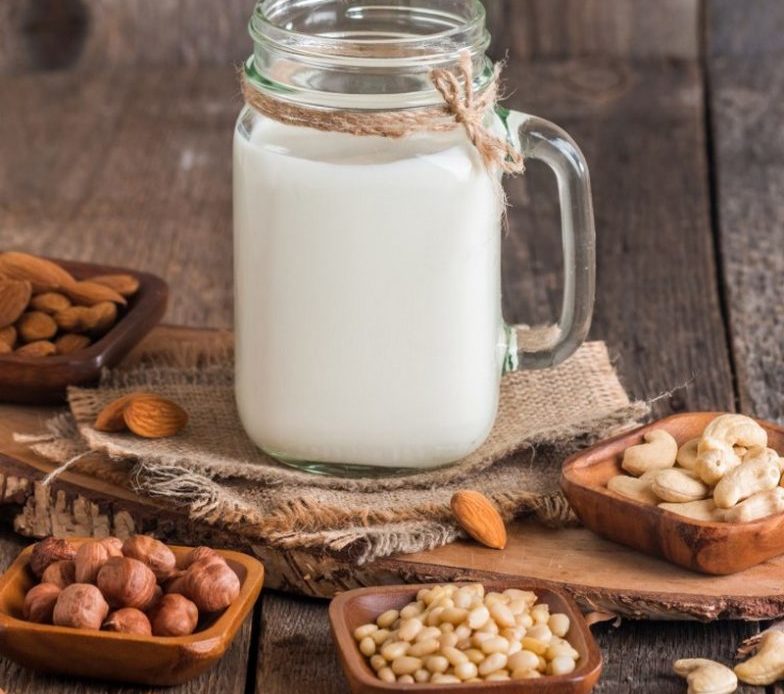 Comment faire du lait végétal ?