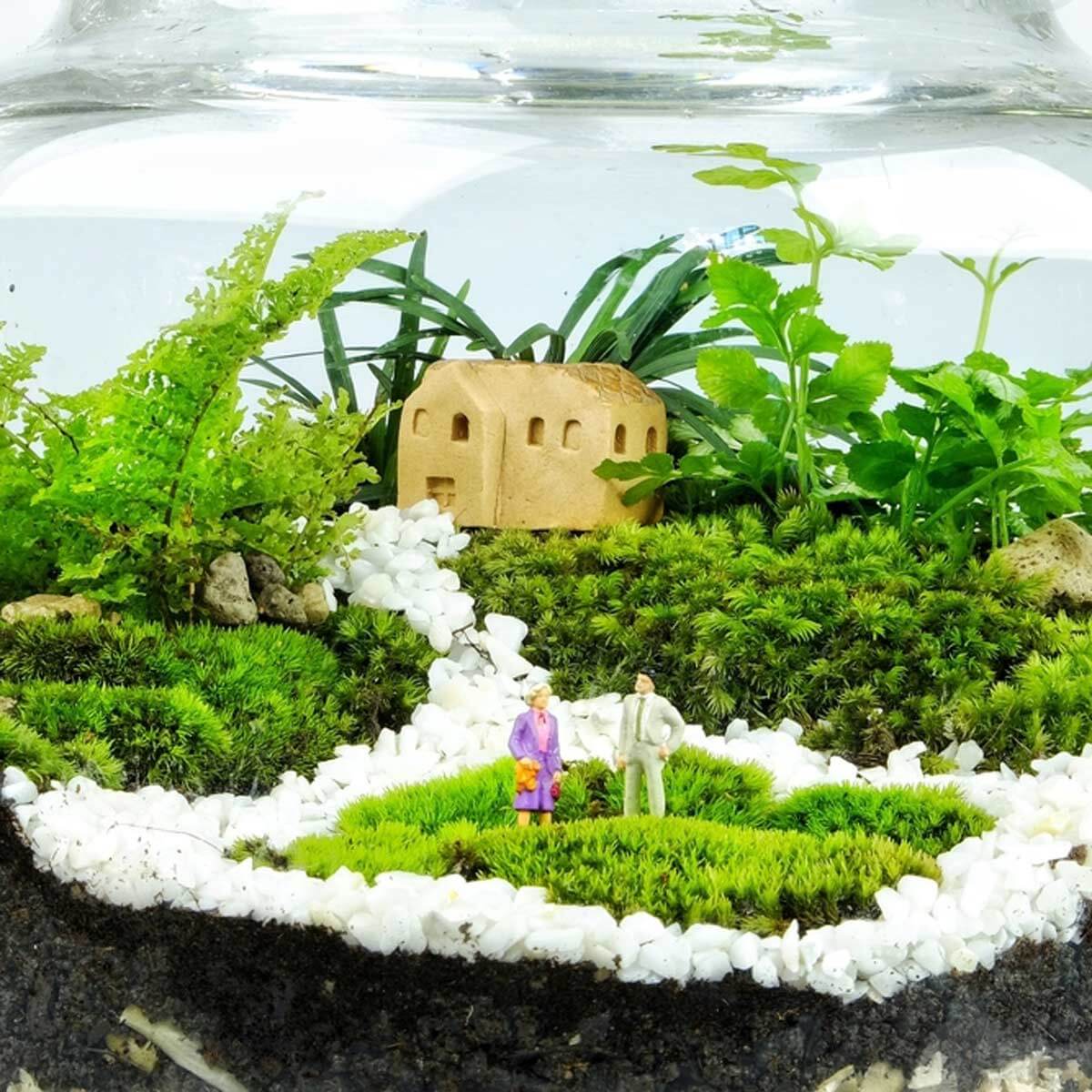 terrarium