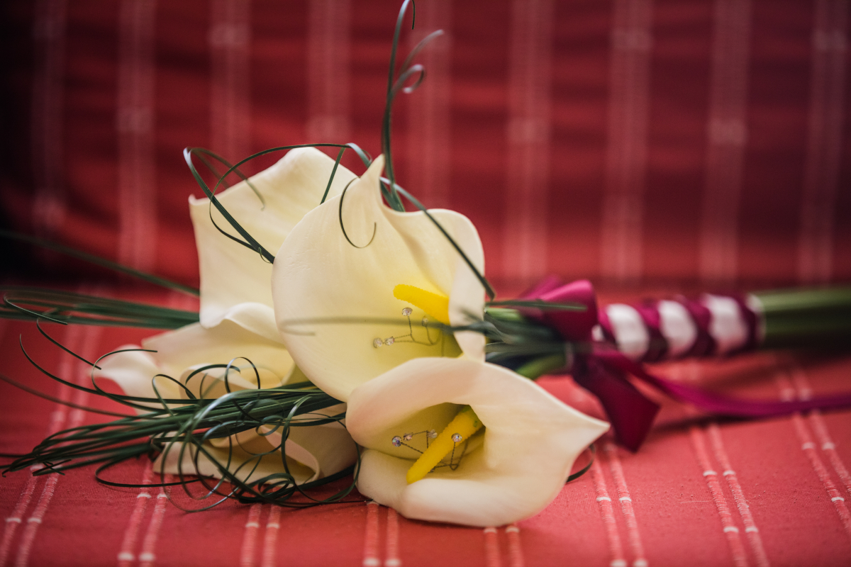 fleurs taboues