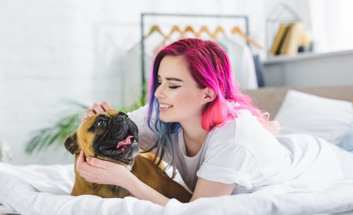 chien Boxer français