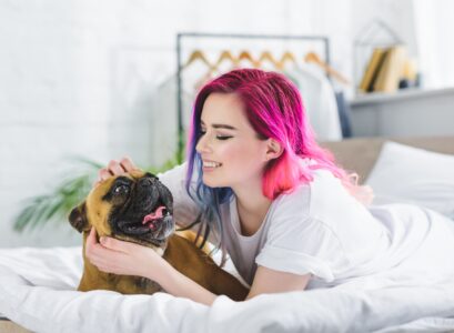 chien Boxer français