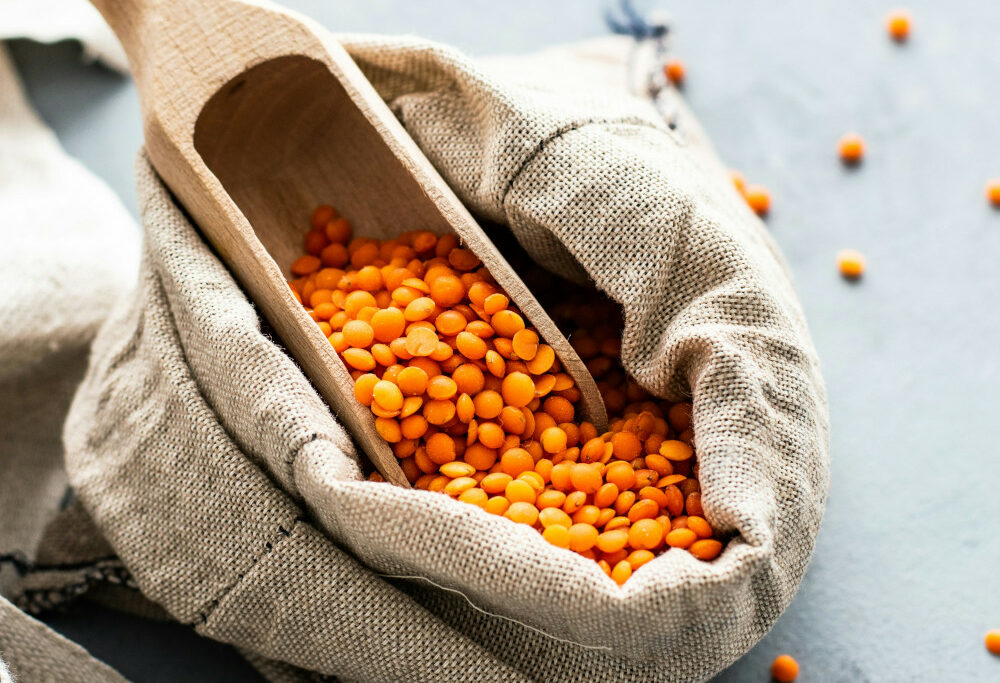 lentilles