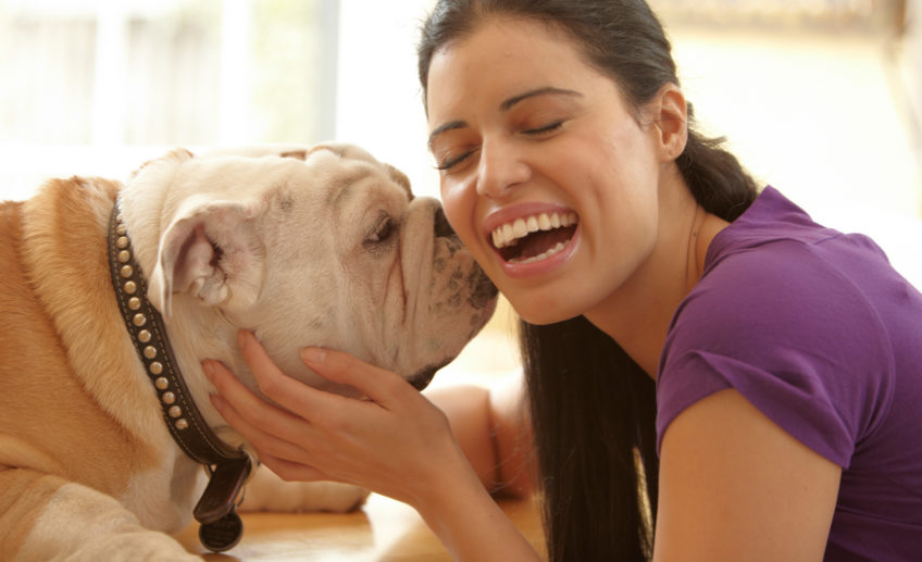 Cinq meilleures races de chiens pour les femmes célibataires