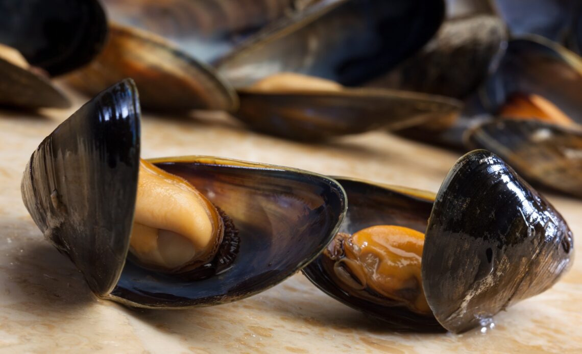 Mussels - Moules mariniere
