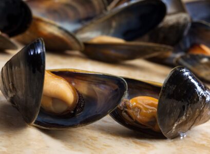 Mussels - Moules mariniere
