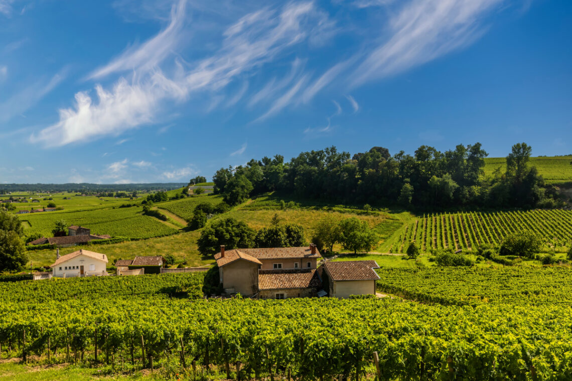 vignoble bordelais